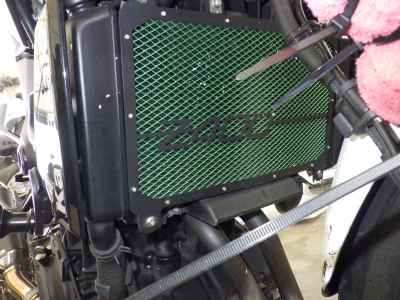 Kawasaki Z400 2019