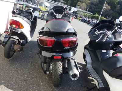 Honda Forza Z 2005