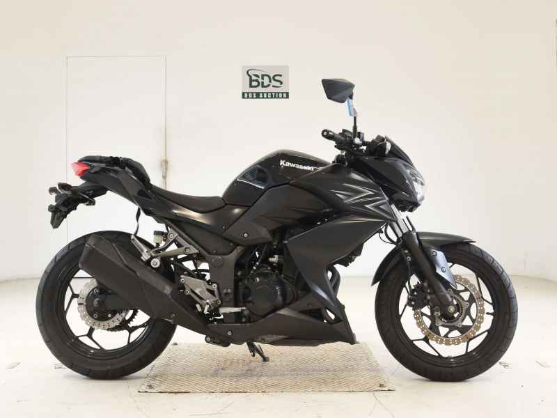 Kawasaki Z250 2016