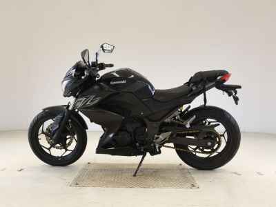 Kawasaki Z250 2016