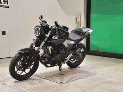 Yamaha MT-25 2016