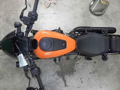 Harley-Davidson Nightster RH975S 2024