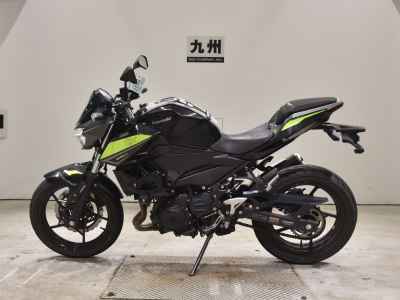 Kawasaki Z250 2022