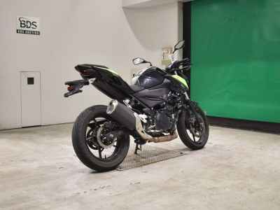 Kawasaki Z250 2022