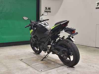Kawasaki Z250 2022