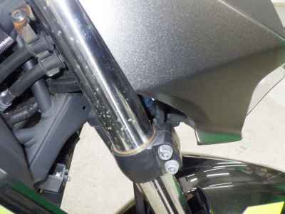 Kawasaki Z250 2022