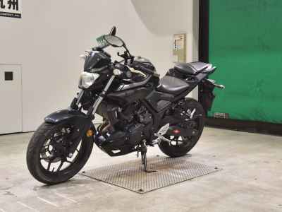Yamaha MT-25 2019