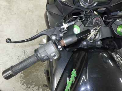 Kawasaki Ninja 1000 2015