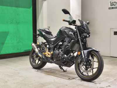 Yamaha MT-25 2021