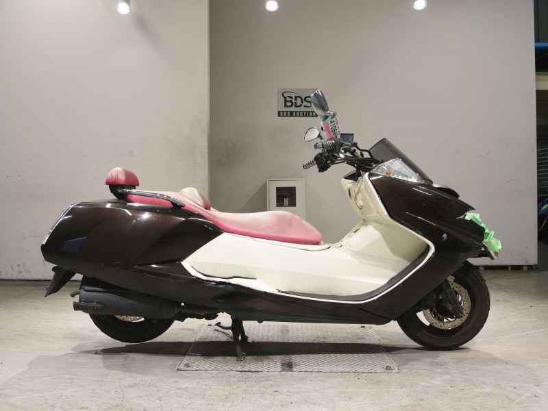 Yamaha Maxam 250 2010