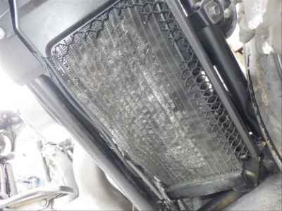 Honda Shadow 400 Classic 2013