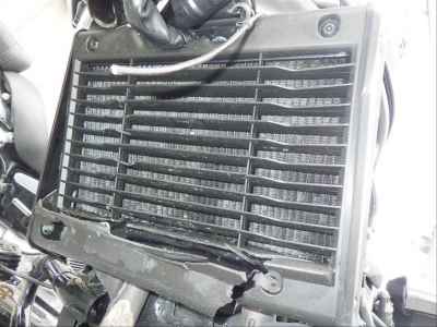 Honda Rebel T CMX1100 DCT 2023