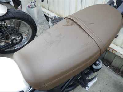 Honda CL250 2023