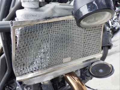 Honda CL250 2023