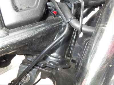 Honda CL250 2023