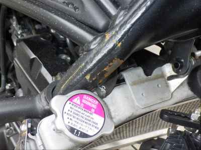 Honda CL250 2023