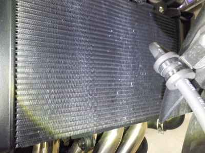 Honda CB650R E-Clutch 2024