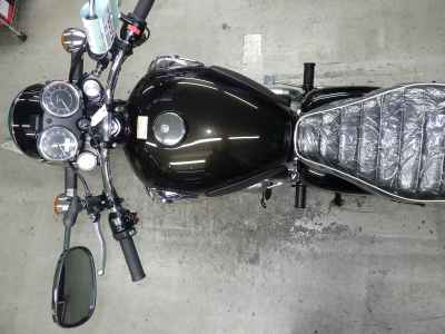 Kawasaki W800 2025