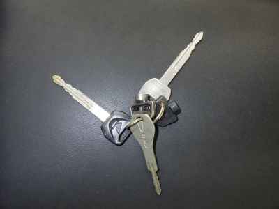 Honda PS250 Big Ruckus 2006