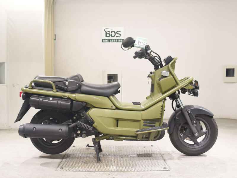 Honda PS250 Big Ruckus 2006