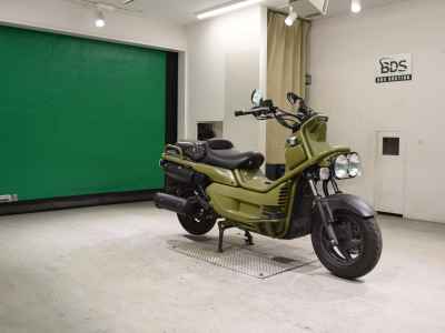 Honda PS250 Big Ruckus 2006