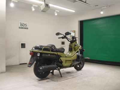 Honda PS250 Big Ruckus 2006