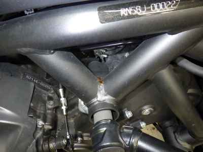 Yamaha Niken 2019