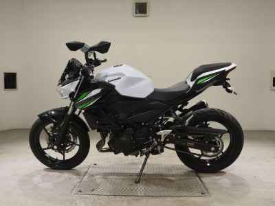 Kawasaki Z250 2019