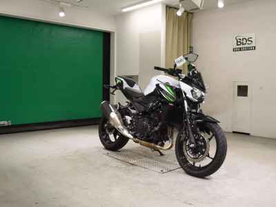 Kawasaki Z250 2019