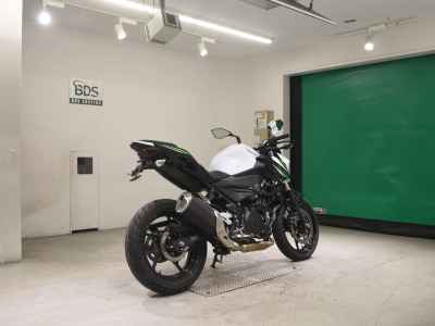 Kawasaki Z250 2019