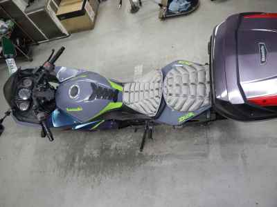 Kawasaki Ninja 250R 2009