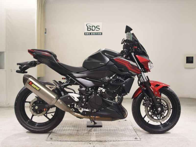 Kawasaki Z250 2019