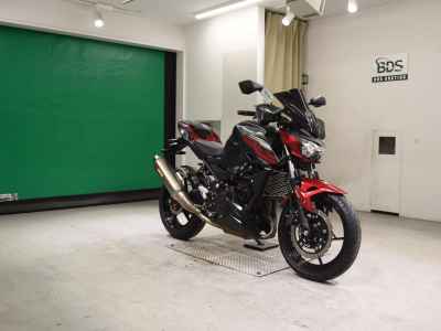 Kawasaki Z250 2019