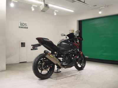 Kawasaki Z250 2019