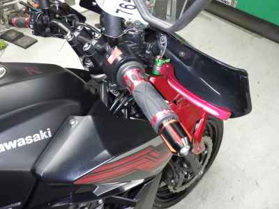 Kawasaki Z250 2019