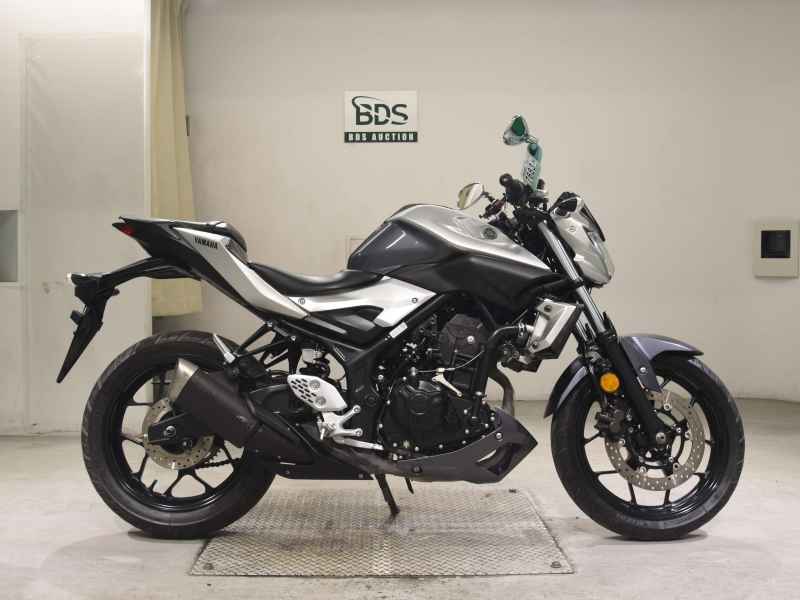 Yamaha MT-25 2017