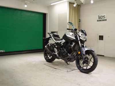 Yamaha MT-25 2017