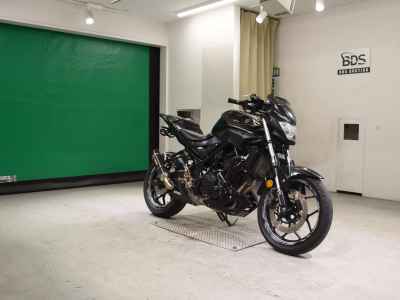 Yamaha MT-25 2017