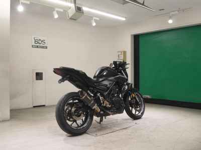 Yamaha MT-25 2017