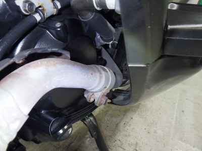 Honda Forza Z 2006