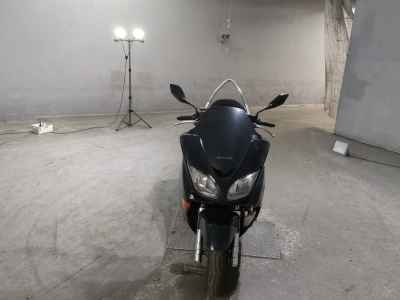 Honda Forza Z 2006