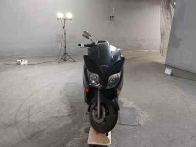 Honda Forza Z 2008