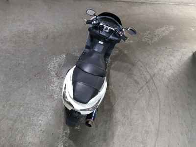 Honda Forza Z 2006