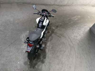 Suzuki Gladius SFV650 2013