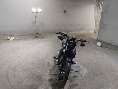 Harley-Davidson Sportster Iron XL883N 2015