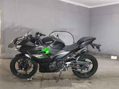 Kawasaki Ninja 250 2023