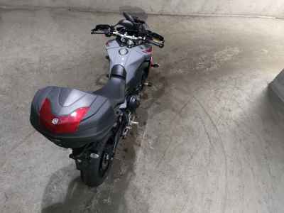 Yamaha Tracer 9 GT 2019