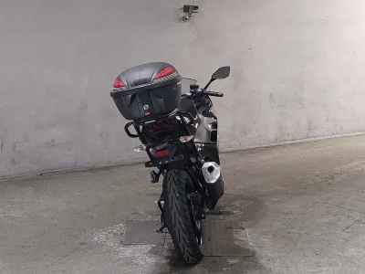 Kawasaki Ninja 250 2022