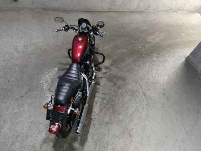 Harley-Davidson Sportster XL883R 2015