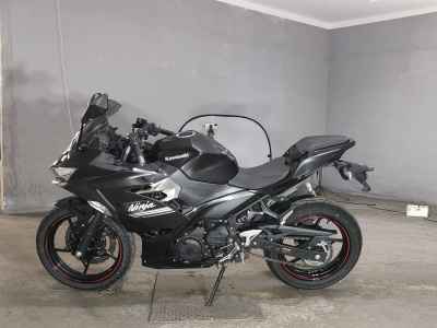 Kawasaki Ninja 250 2021
